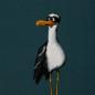Preview: French Terry Panel ca. 85 cm Seagullole Task Force Petrol by Thorsten Berger von Swafing